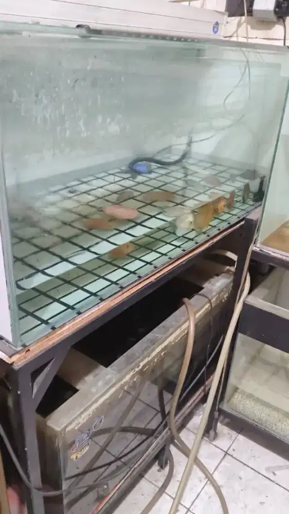 aquarium 120x50x50 kaca 8mm dan 100x45x45 kaca 5mm plus rak