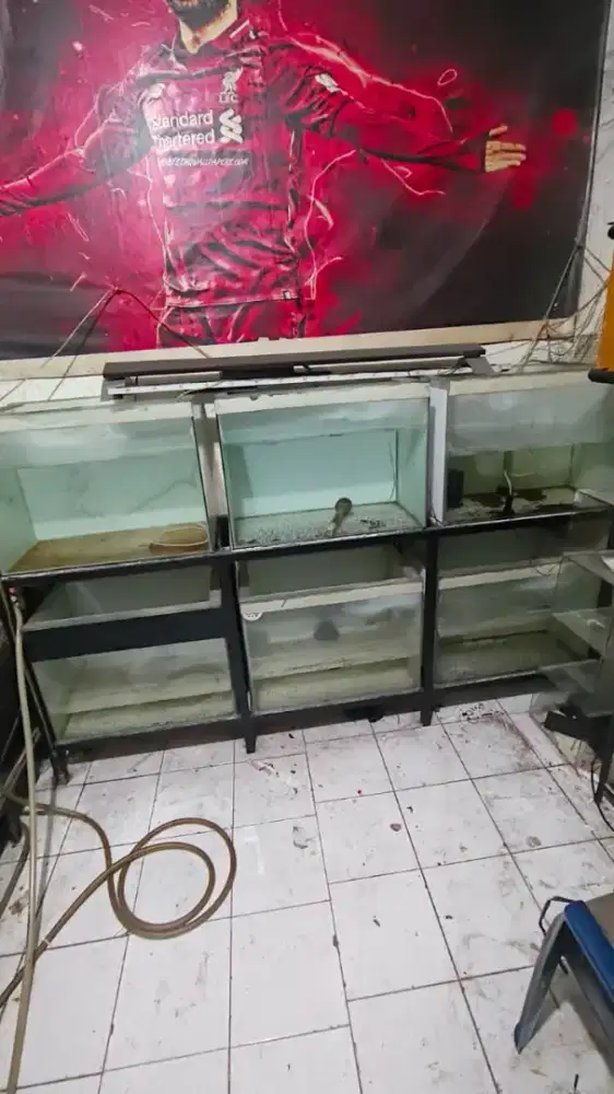 aquarium 6pcs plus rak kokoh