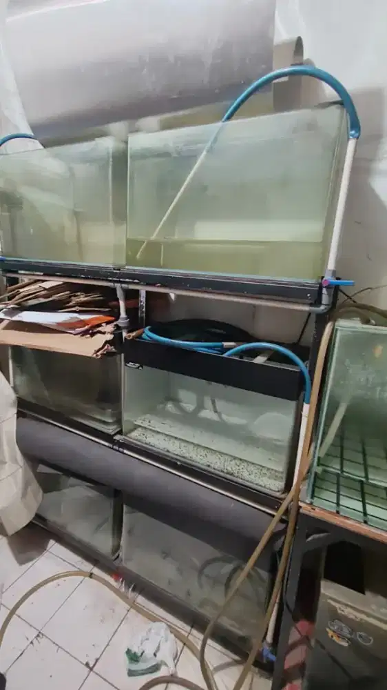 aquarium bending recent 6pcs 70x40x45 plus rak