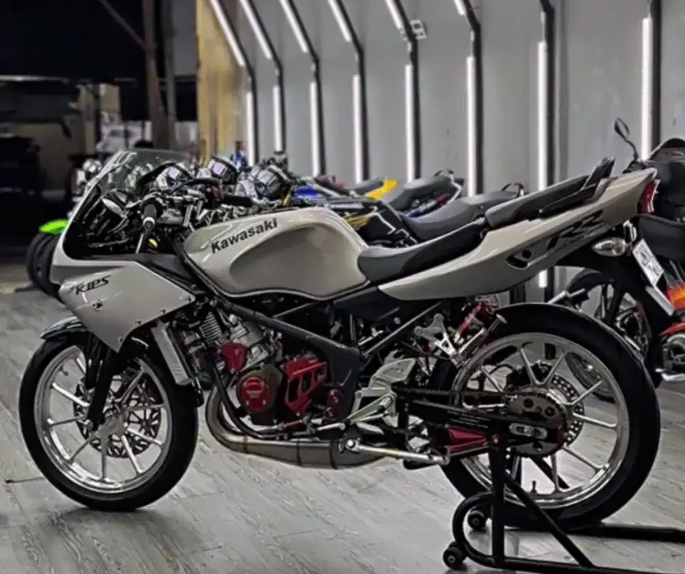 Kawasaki Ninja RR 2010