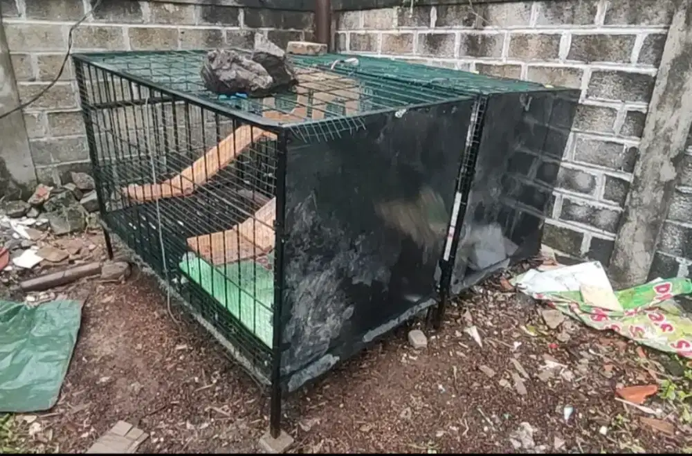 Kandang full besi murah sangat kokoh dan berat