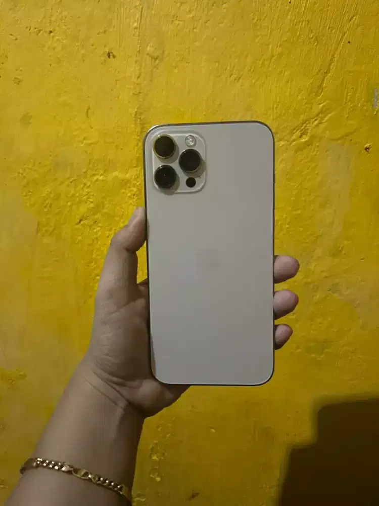 IPHONE 12 PRO MAX 128