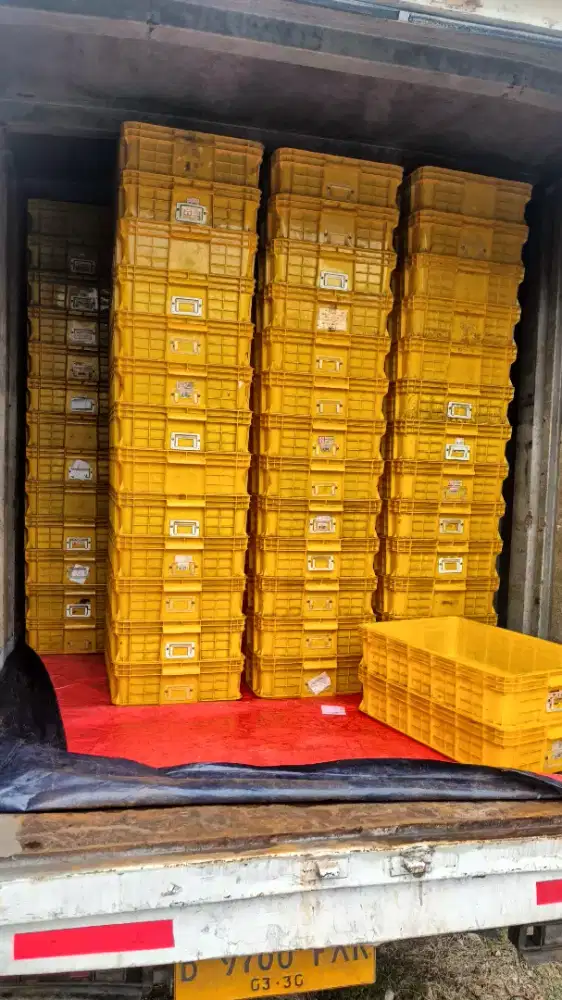 box keranjang roti kue dll merk rabbt dan hanata