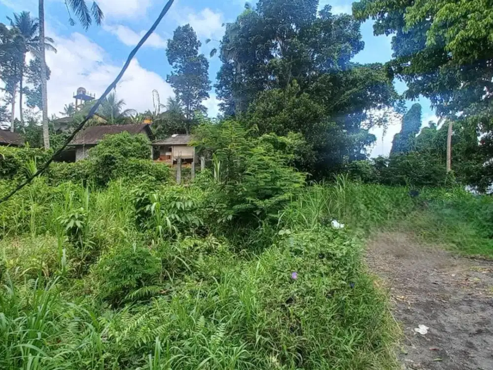 TANAH MUNCAN SELAT KARANGASEM BALI (KA1602)