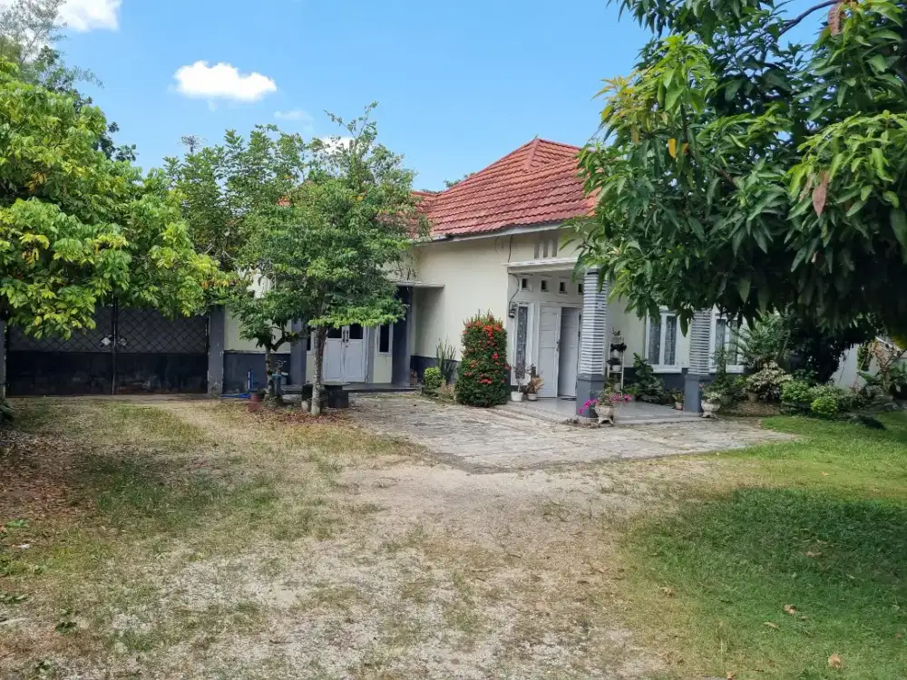 Di Jual Rumah Lokasi Strategis