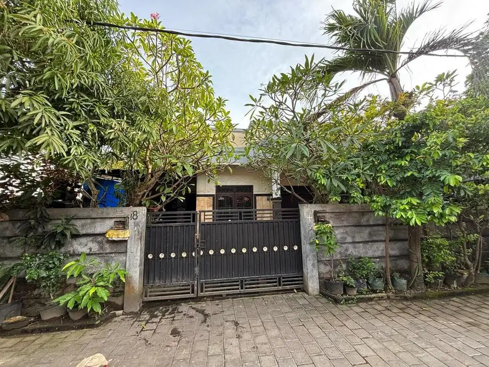 Baby Sitter anak usia 1 tahun