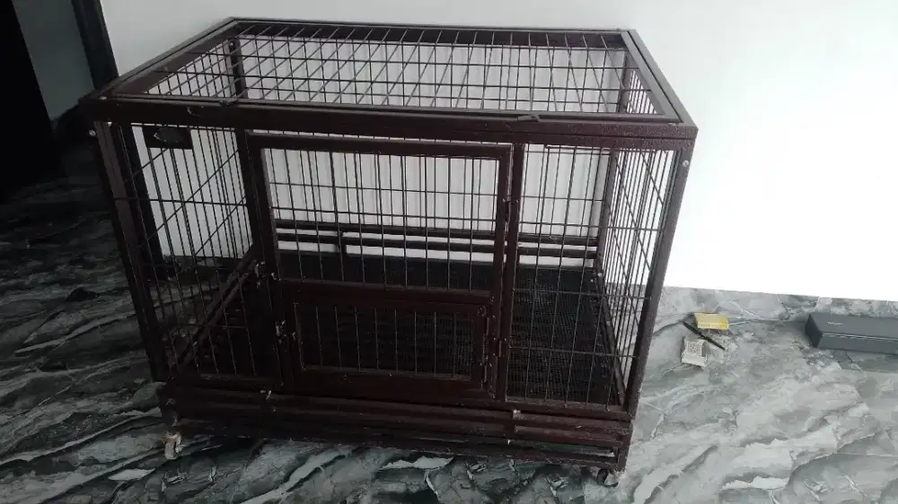 Kandang kucing jumbo import