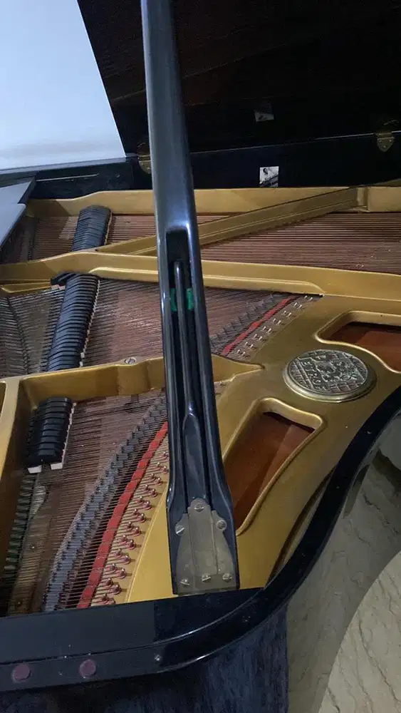 Grand Piano Petrof