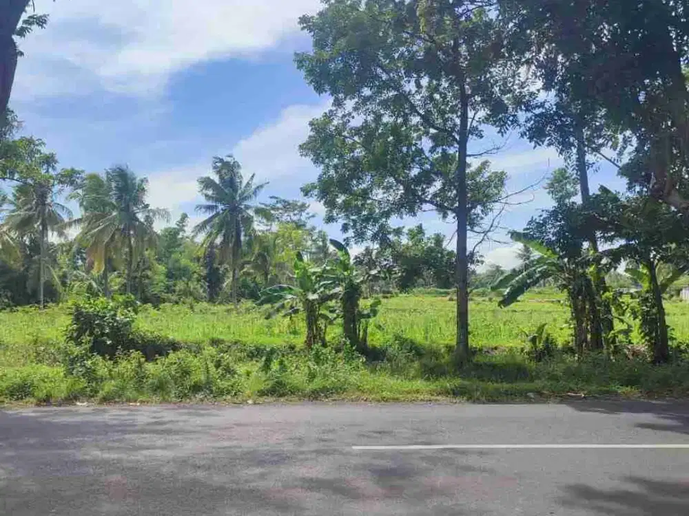 DIJUAL tanah dekat pasar di Bondowoso