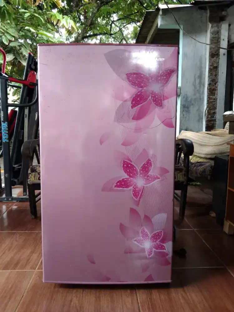 Kulkas kembang pink 1 pintu istimewa