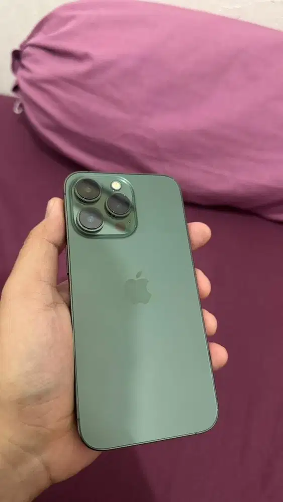 Jual Iphone 13 Pro 256 Alpine Green (Ex iBox)