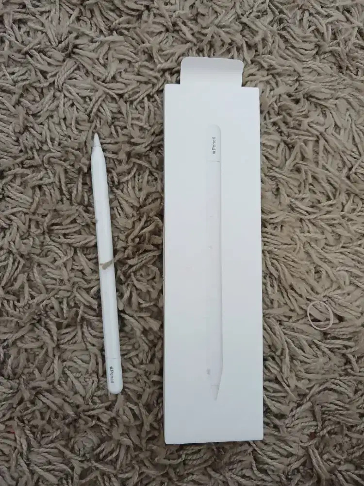 Apple Pencil (USB-C)