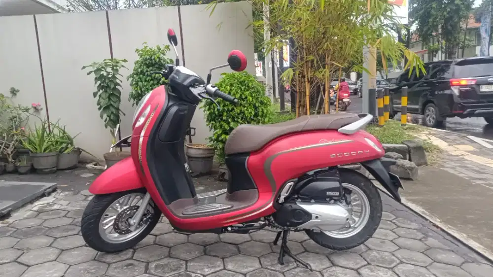 Honda Scoopy Stylish