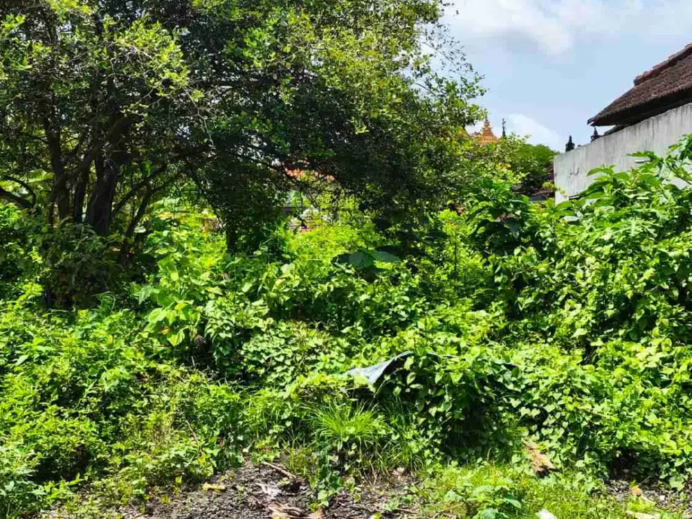 dijual tanah 3,92 are IDR 550 juta per are Kawasan Kampial residence nusa dua Kuta Selatan Badung Bali