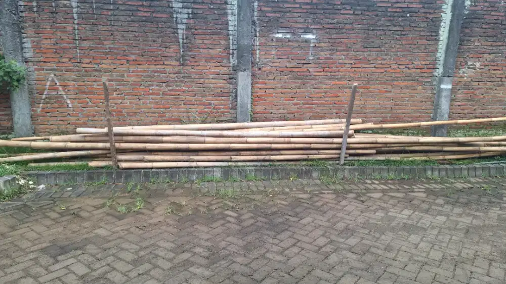 Bambu 8 meteran bekas andang