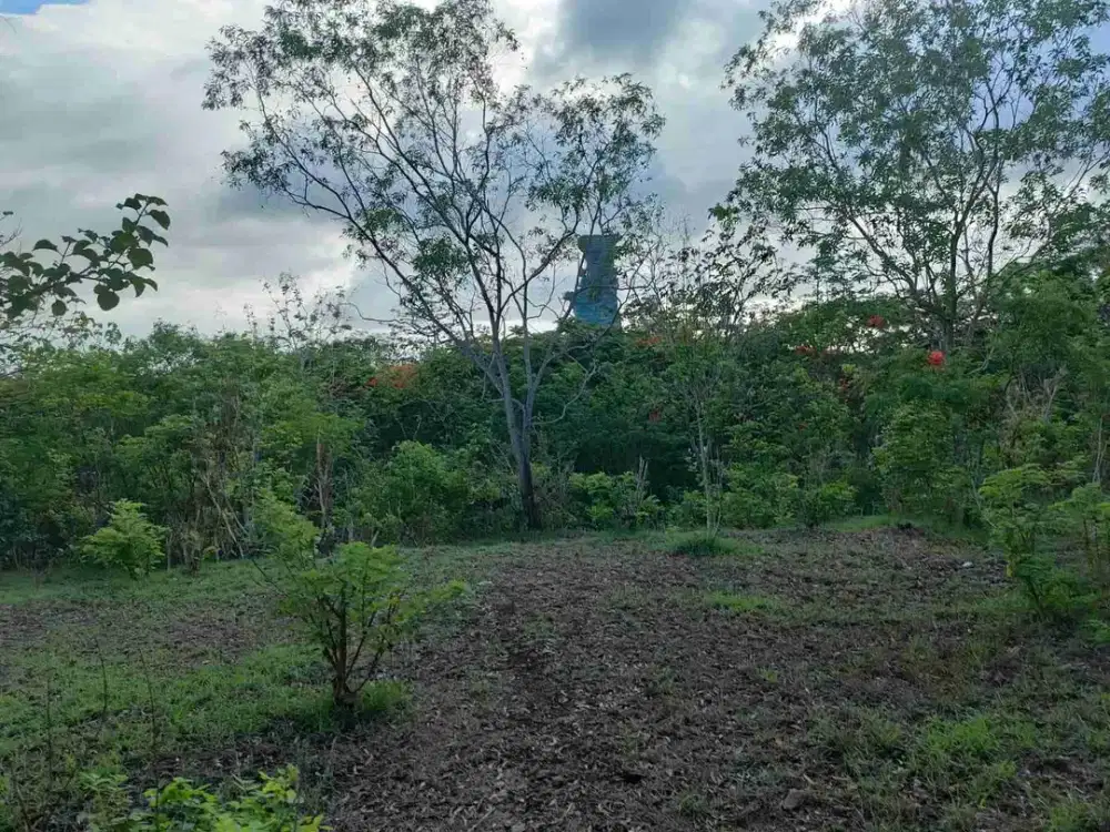 Di kontrak tanah bagus view Gek & laut  Ungasan cocok untuk resort dan villa