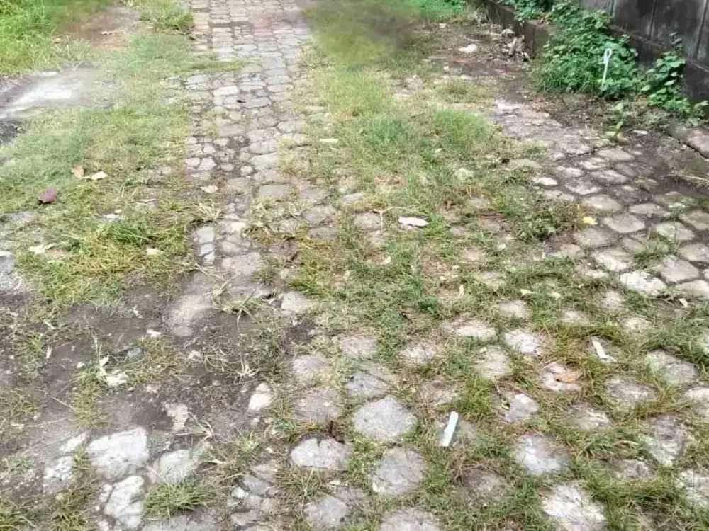 DIJUAL TANAH ADA BANGUNAN LOKASI NUANSA KORI UBUNG