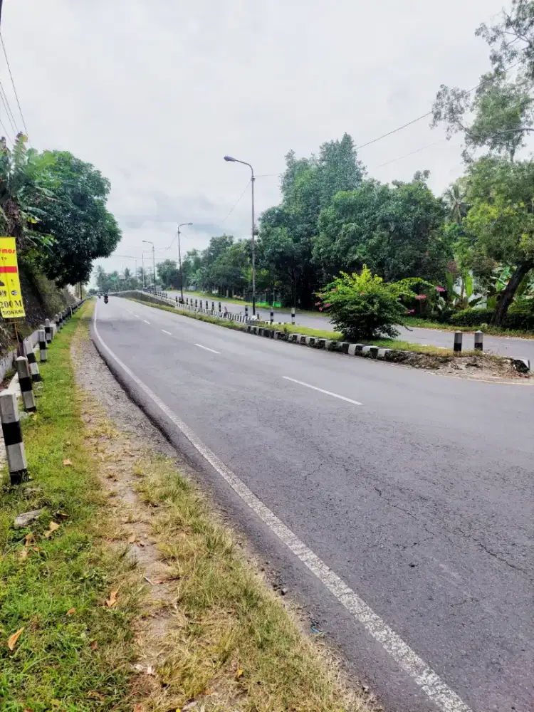 Dijual Tanah Murah SHMP Mangku Jalan Nasional Yogya - Wates km 19