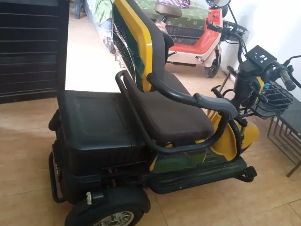 Exotic Sepeda listrik roda 3