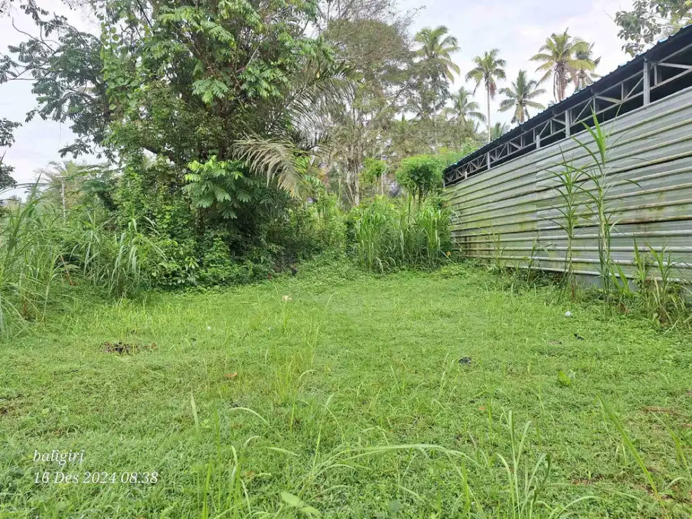 Tanah Murah 145m² di Pidpid, Abang