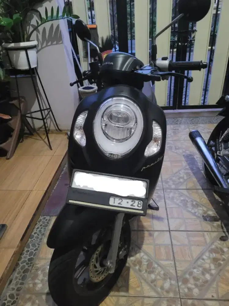 Scoopy Prestige 2023