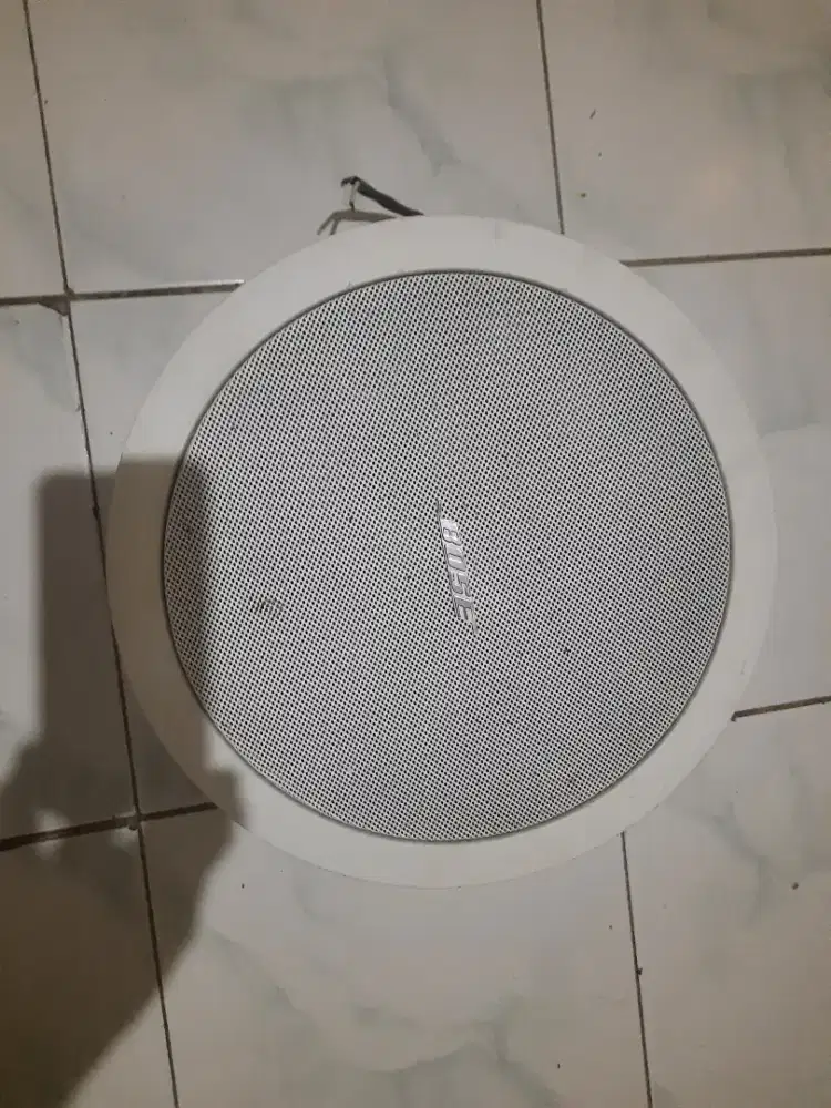 Speaker Bose FreeSpace DS40F