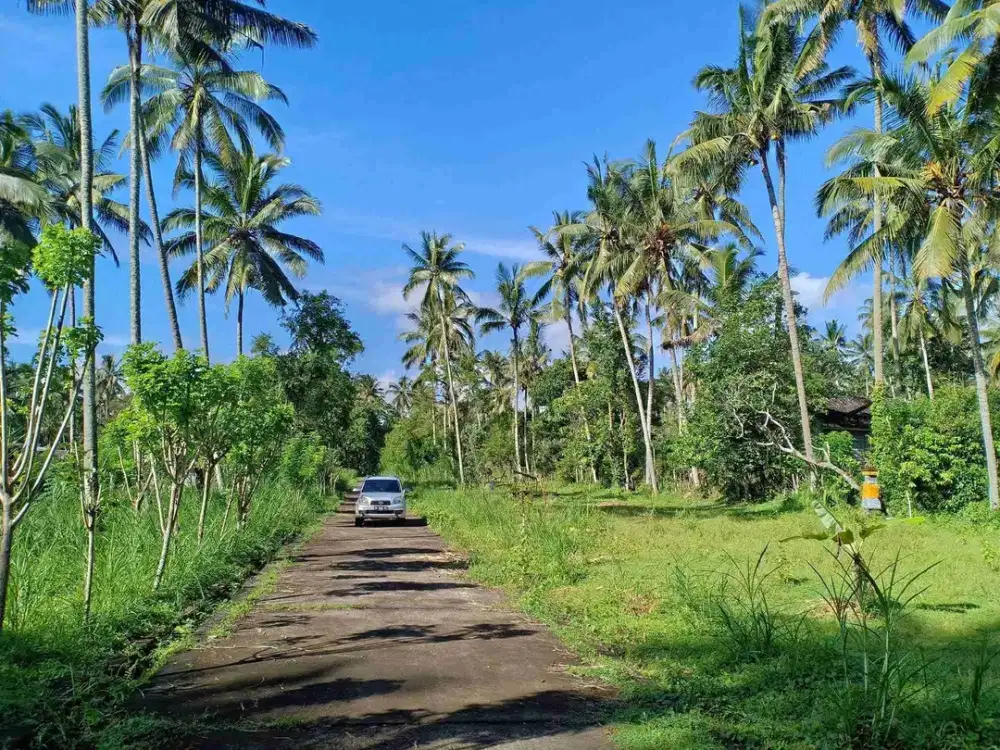 Tanah Murah 2 Are di Bali