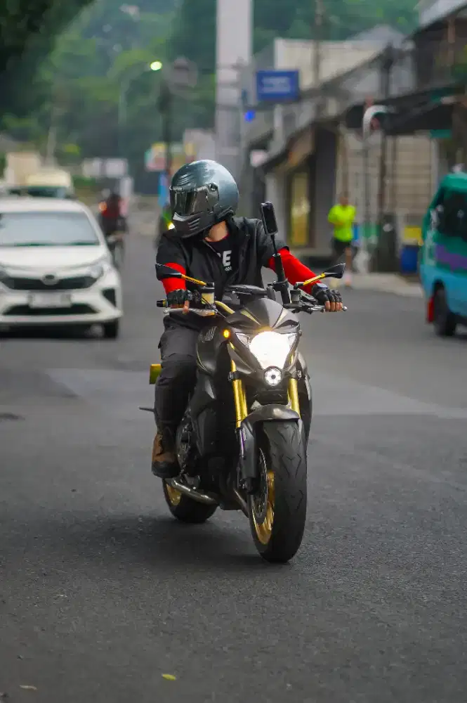 Honda Cb1000R naked style
