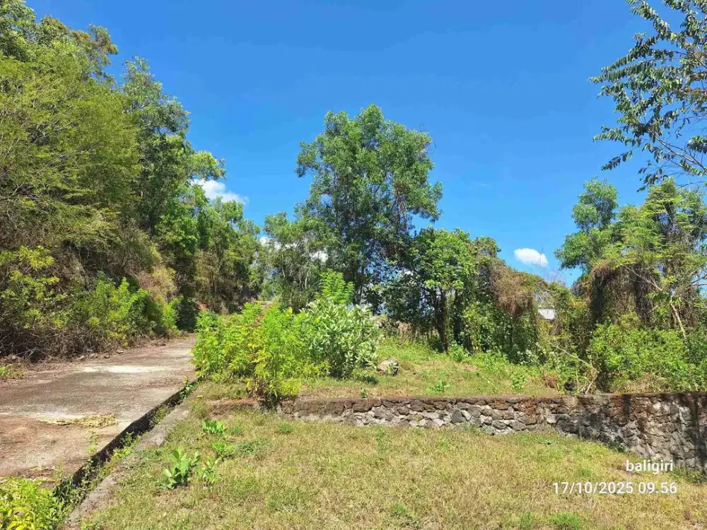 Beli Tanah Gratis Sepeda Listrik