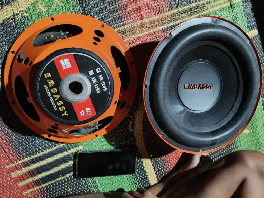 Speaker embassy 12in