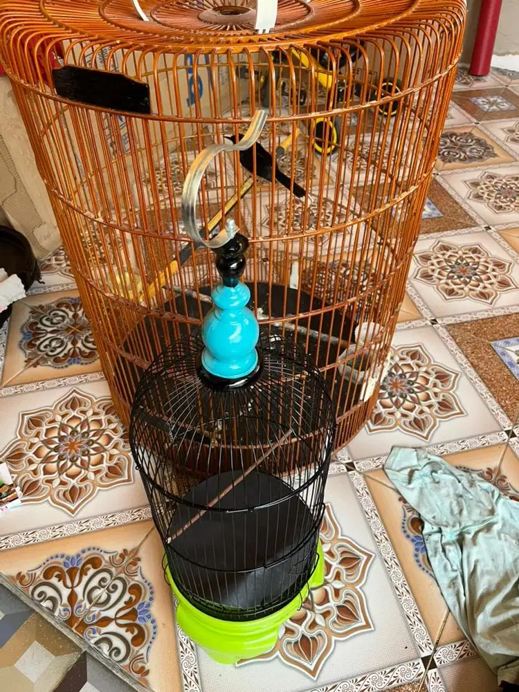 kandang ebod lama no 1 sama kandang konin