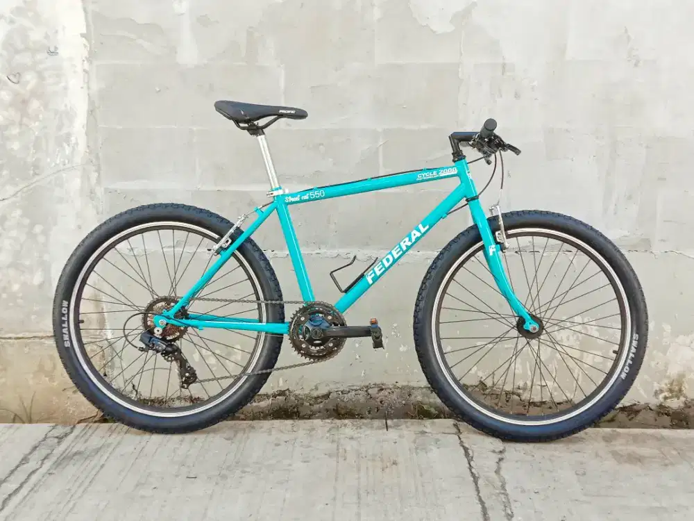 Sepeda vintage / kalcer/ commuter bike