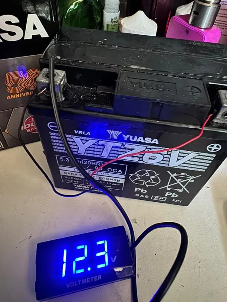 Aki yuasa ytz6v motor