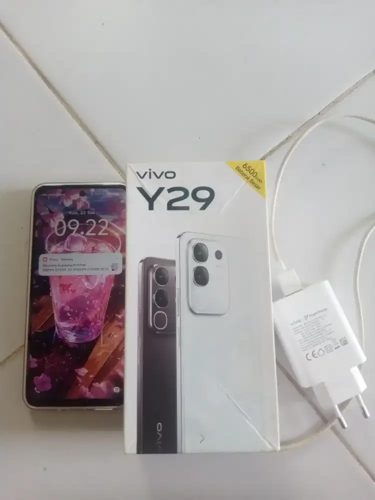 Hanphone Vivo Y29