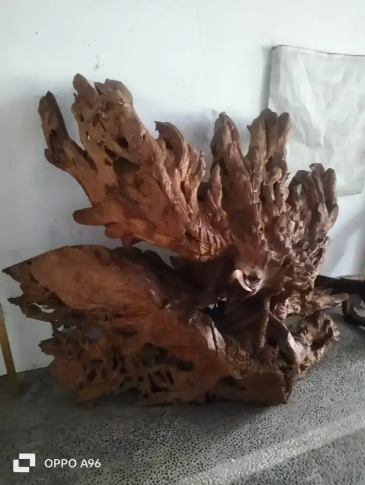 Diborongin aja ada 6 buah