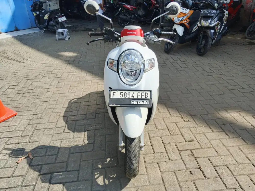 Scoopy ,2020. Pajak hidup