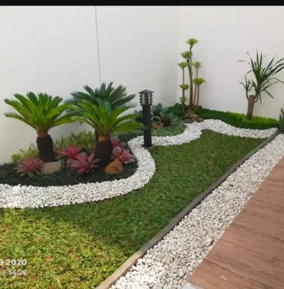 TUKANG TAMAN MURAH BERGARANSI ANTAPANI | PASANG RUMPUT GAJAH MINI