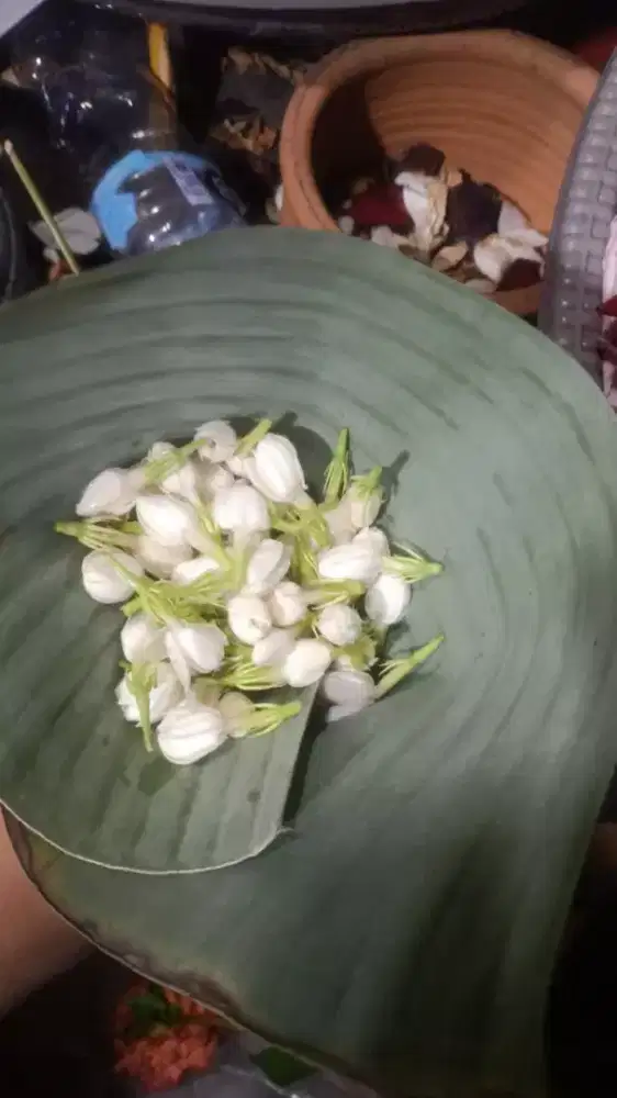 cari kerja waktu luang