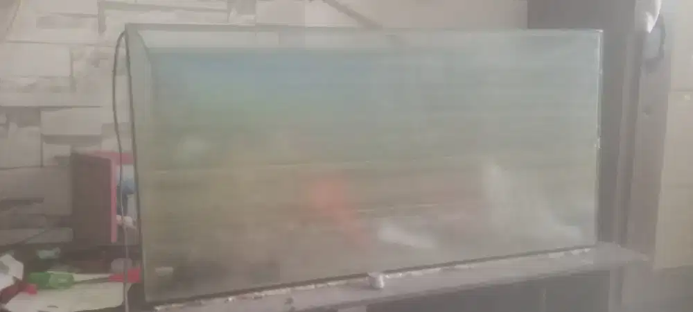 Akuarium besar murah