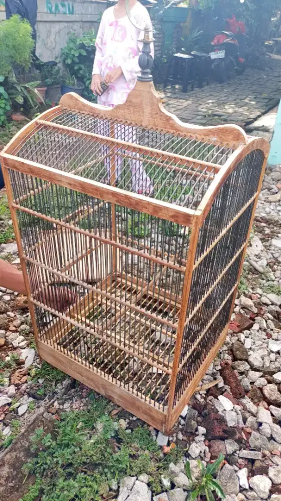 Kandang burung kotak kayu bagus