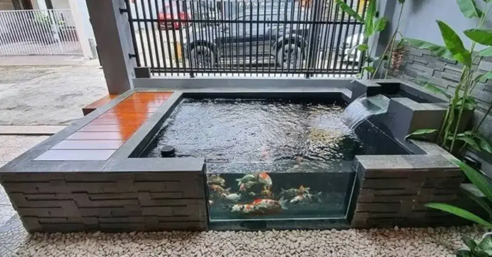 Tukang Kolam Koi Profesional Bandung | Perbaiki kolam bocor dan kotor