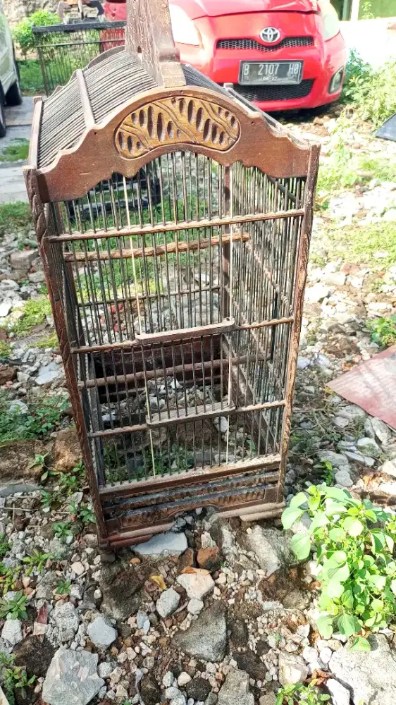 Kandang burung ukir murai Kacer bagus