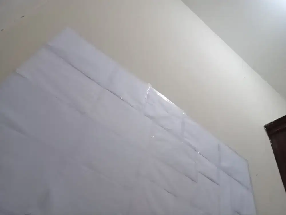 Jasa ajak anabul jalan