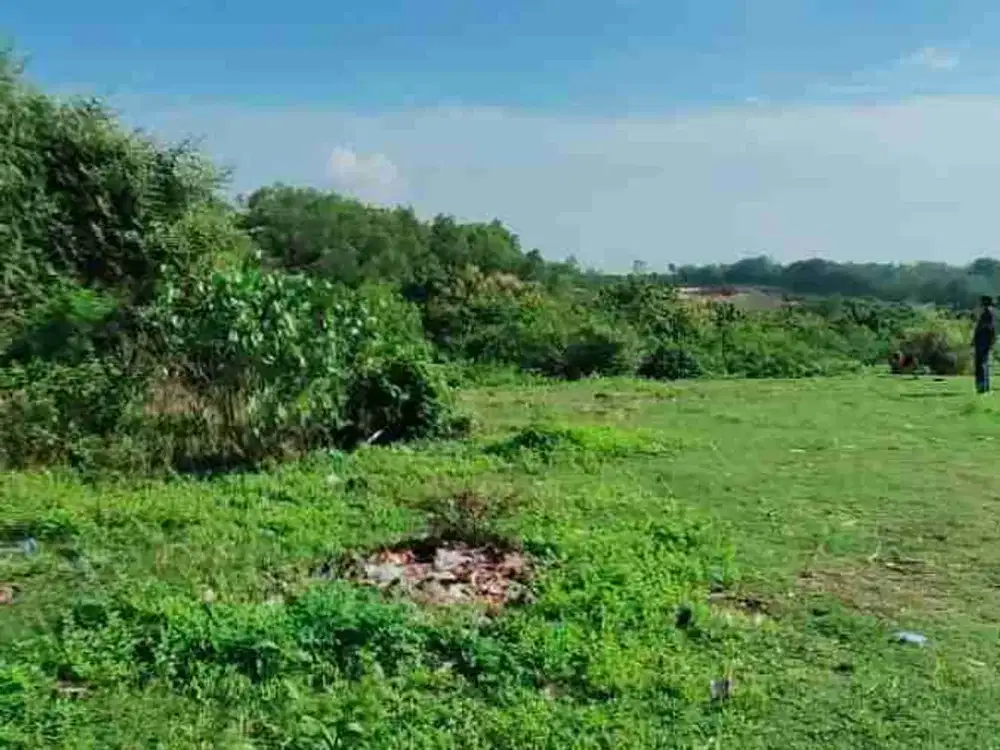 dijual tanah 3.535m²  IDR 400 juta /are dekat hotel kempinski nusa dua Kuta Selatan Badung Bali