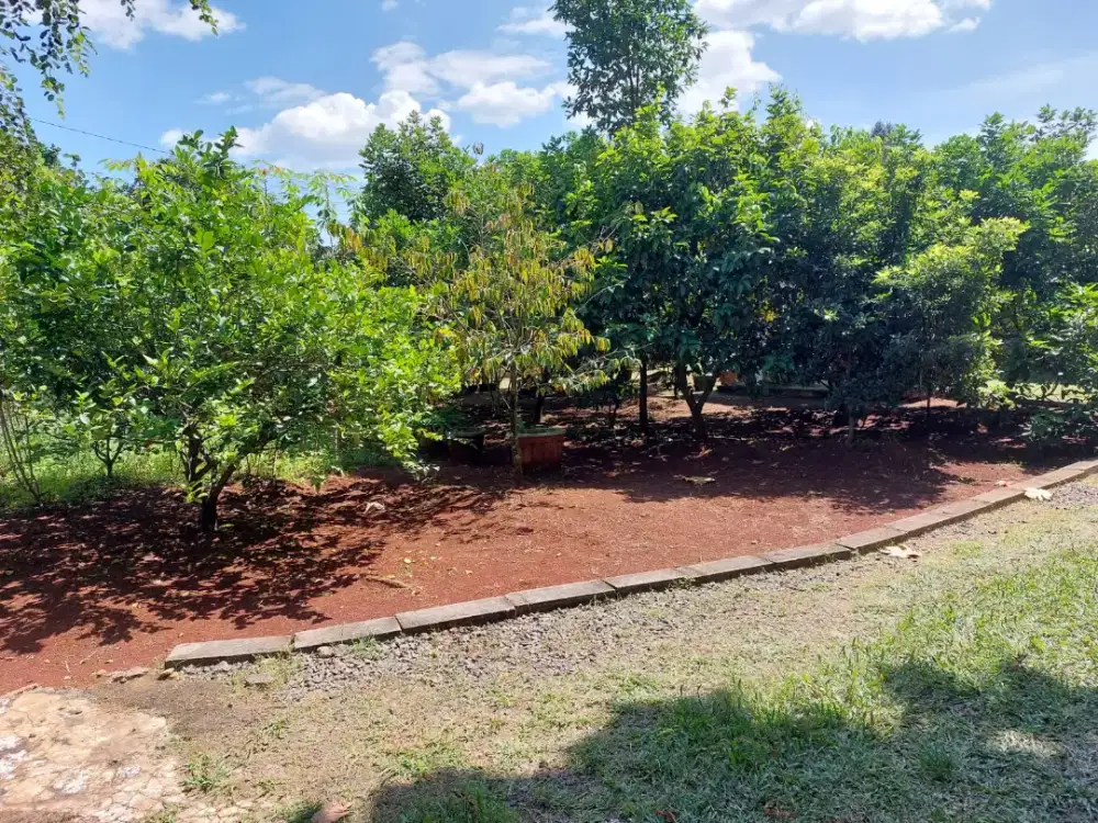 Tanah di jual daerah bogor