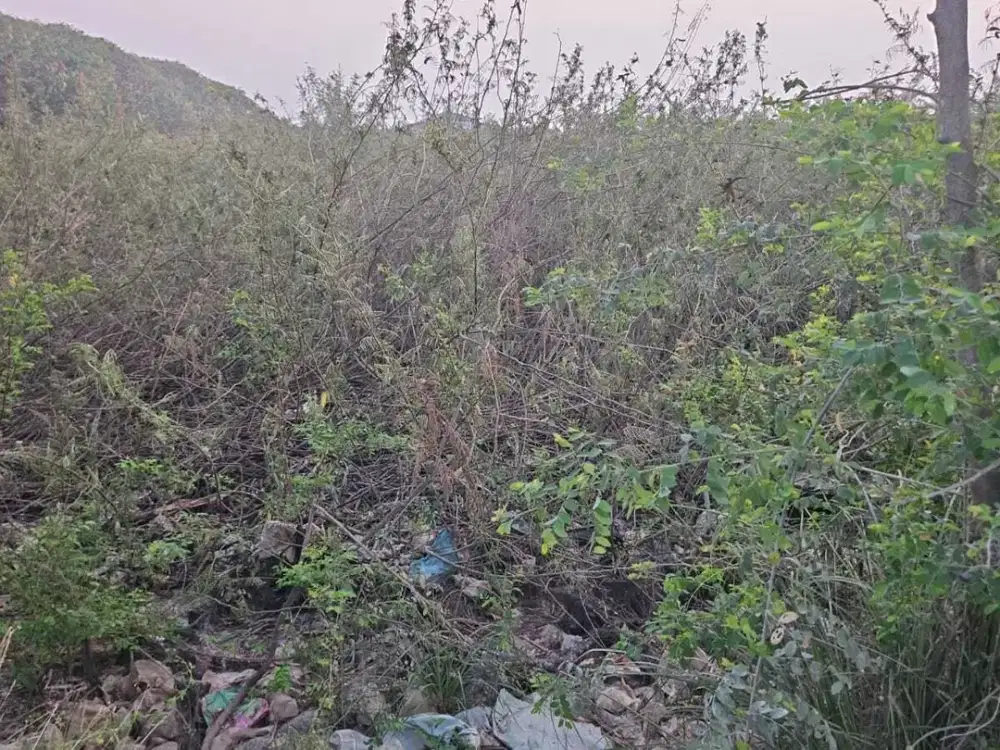 Dijual tanah industri di teluk naga samping gudang laksanA