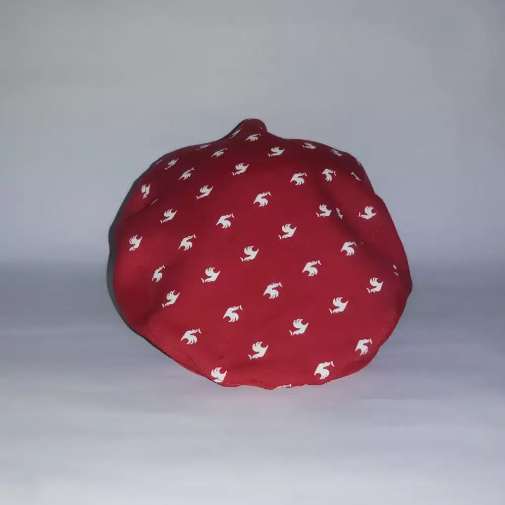 Lecoq Sportif | Flat Cap LECOQ