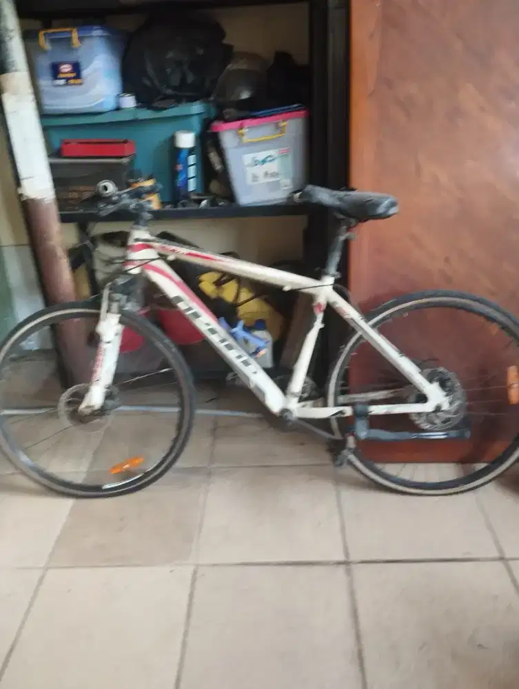 Jual sepeda bekas merek avand