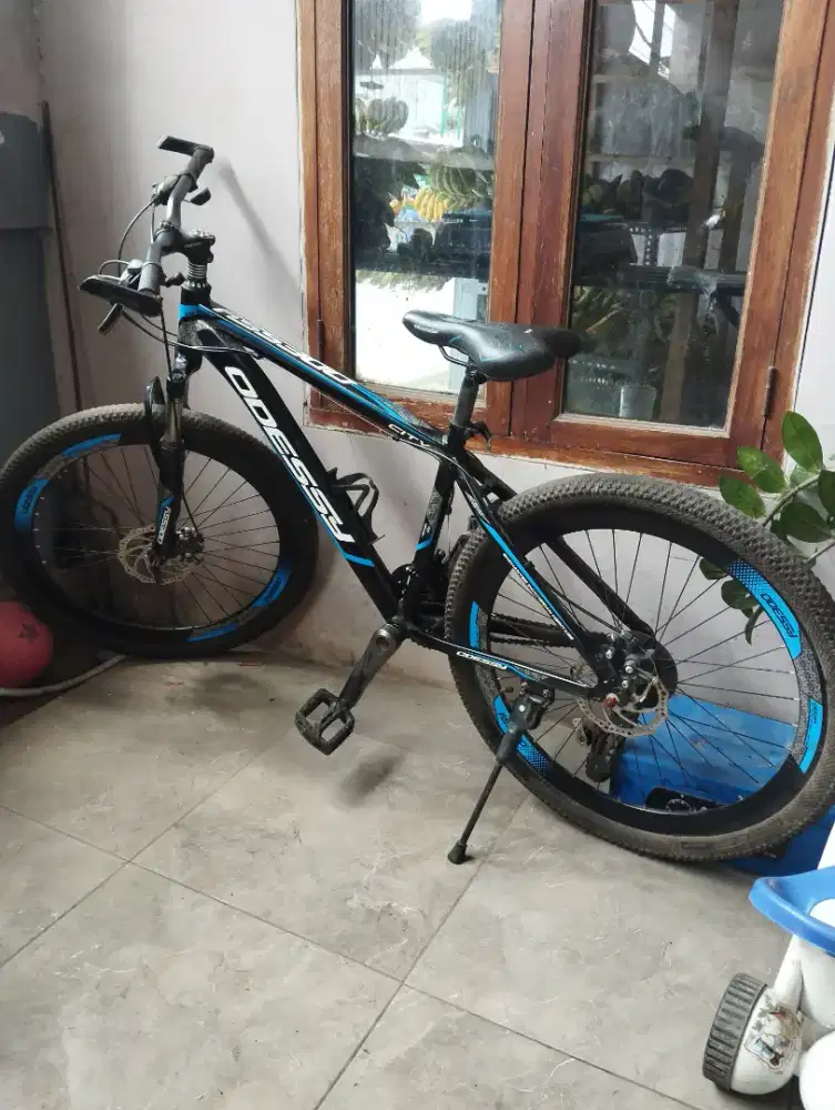 Sepeda Oddysey mulus