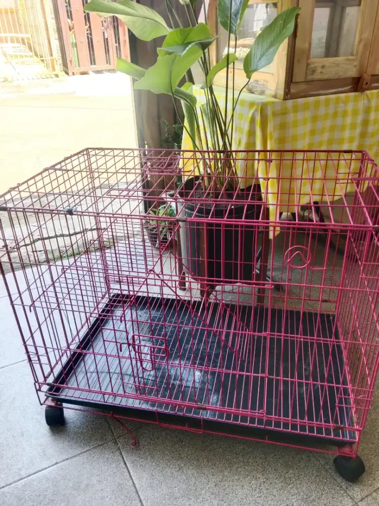 Kandang kucing/ kelinci